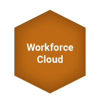 Hexagon_Workforce